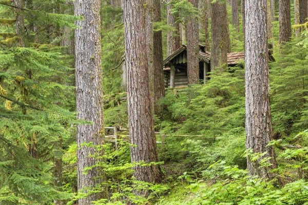 USA, Washington, Olympic NP Forest cabin shelter